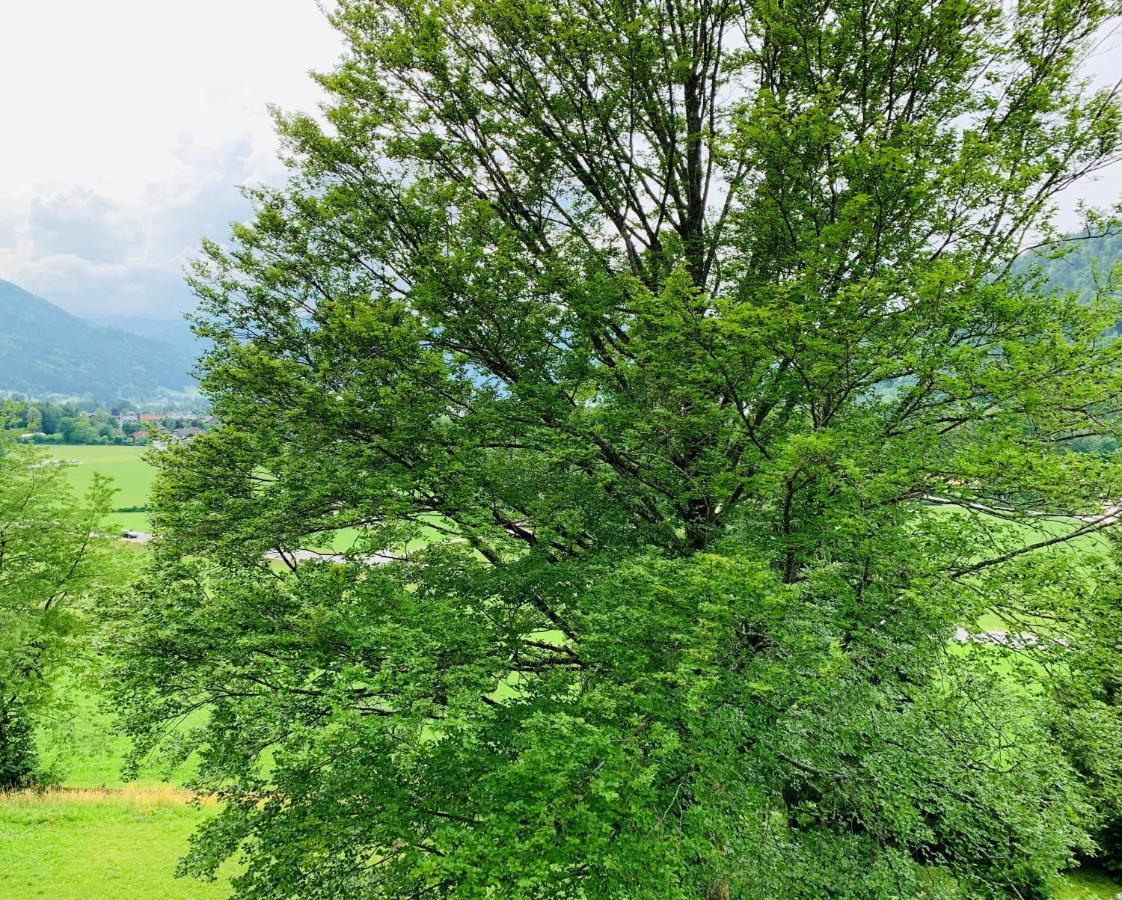 Buchenblick Διαμέρισμα Strobl Εξωτερικό φωτογραφία